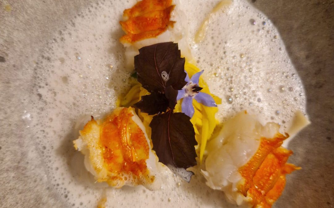 Langouste des Terres Australes